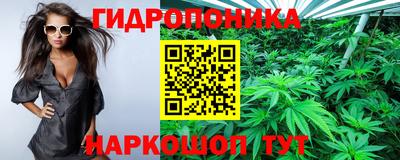 гидропоника Ликино-Дулёво