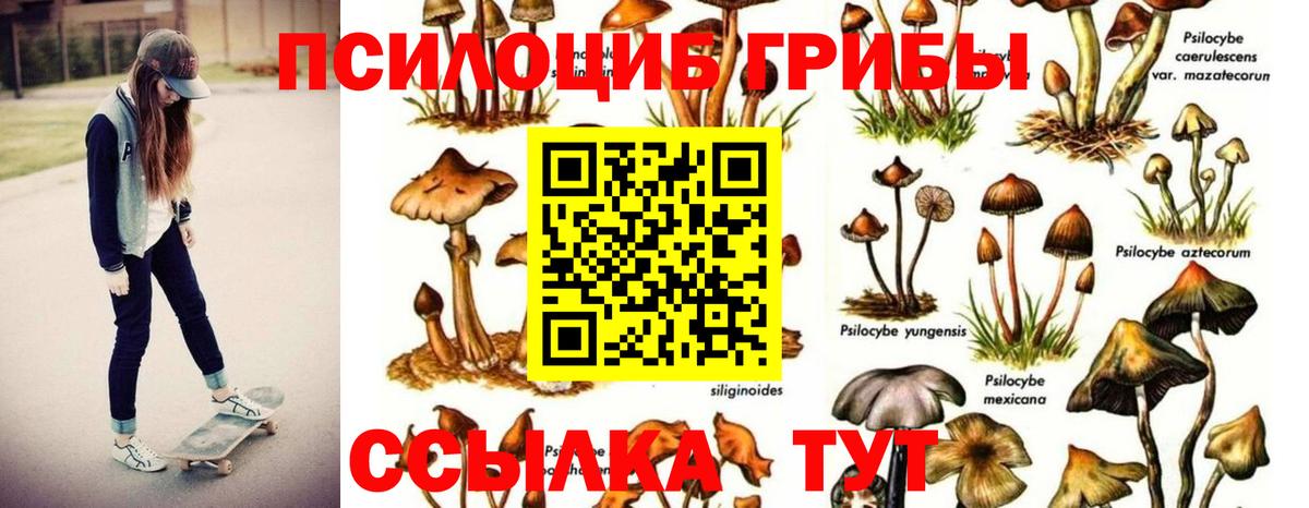 Галлюциногенные грибы Cubensis  Галлюциногенные грибы Magic Shrooms  Железноводск  где продают наркотики  Вход с VPN 